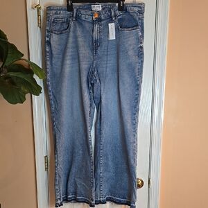 Lane Bryant Signature Light Blue Flare Jeans
